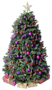 Oxfordshire Christmas Tree Hire