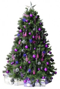 Surrey Christmas Tree Hire